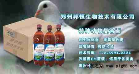 養(yǎng)雞用的益生菌使用方法竟然這么簡(jiǎn)單——生物技術(shù)走進(jìn)養(yǎng)殖戶